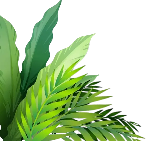 Leaf