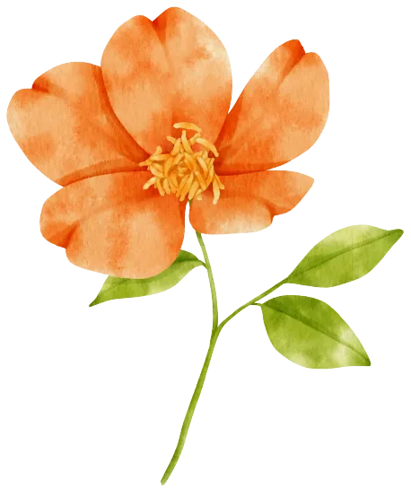 orange flower